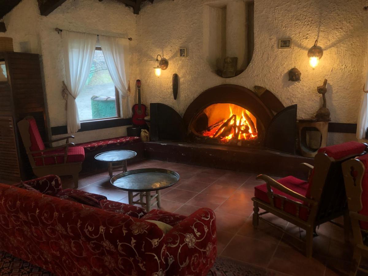 Polonezkoey Country Club & Accommodation In The Wildlife Park! Provincia di Provincia di Istanbul Esterno foto