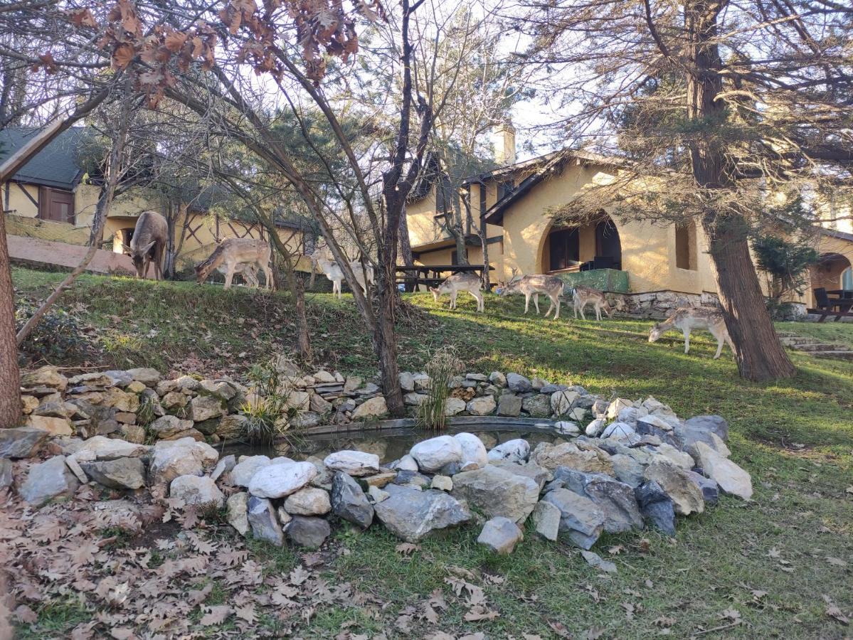 Polonezkoey Country Club & Accommodation In The Wildlife Park! Provincia di Provincia di Istanbul Esterno foto
