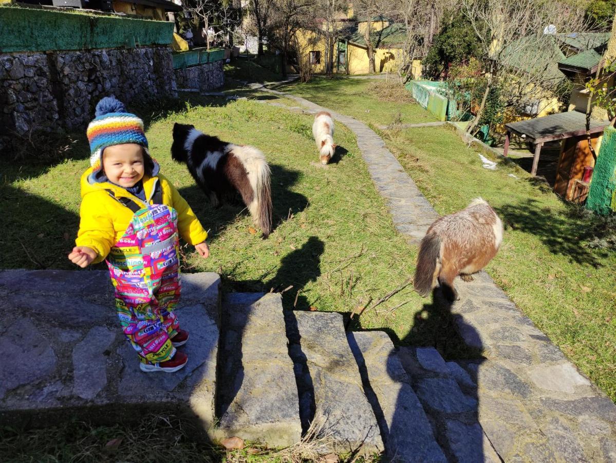 Polonezkoey Country Club & Accommodation In The Wildlife Park! Provincia di Provincia di Istanbul Esterno foto