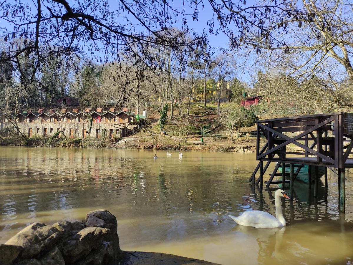 Polonezkoey Country Club & Accommodation In The Wildlife Park! Provincia di Provincia di Istanbul Esterno foto