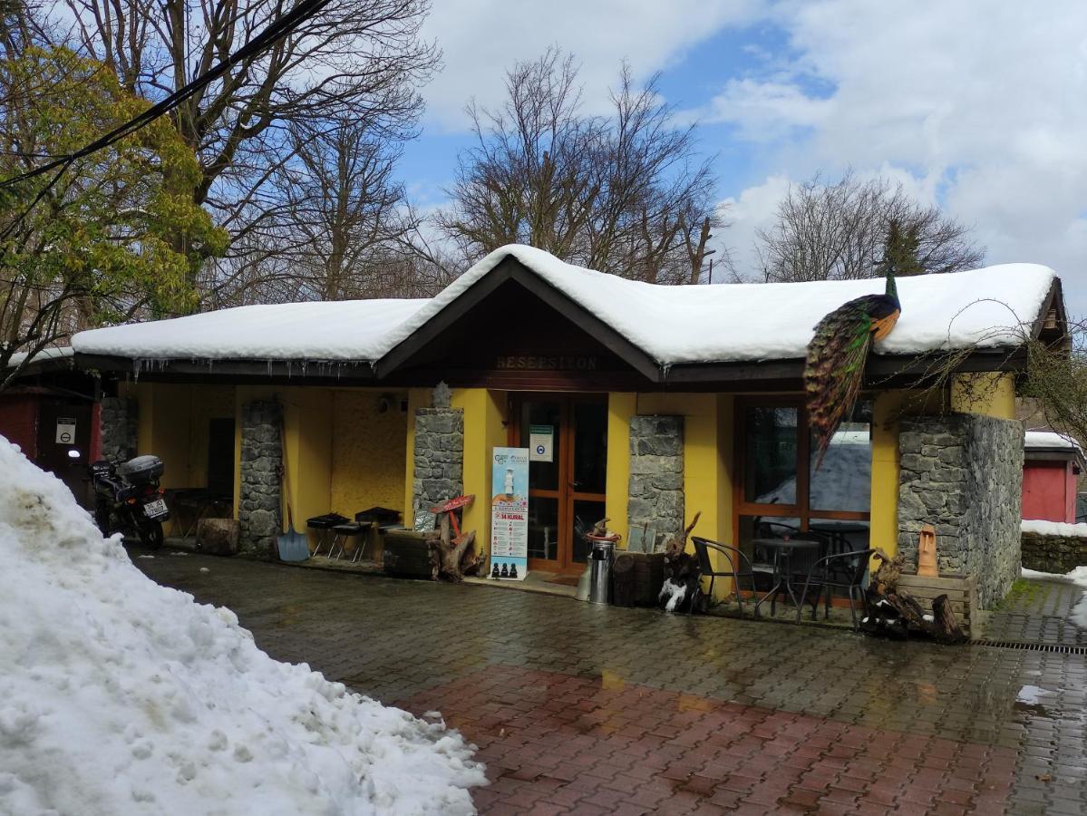 Polonezkoey Country Club & Accommodation In The Wildlife Park! Provincia di Provincia di Istanbul Esterno foto