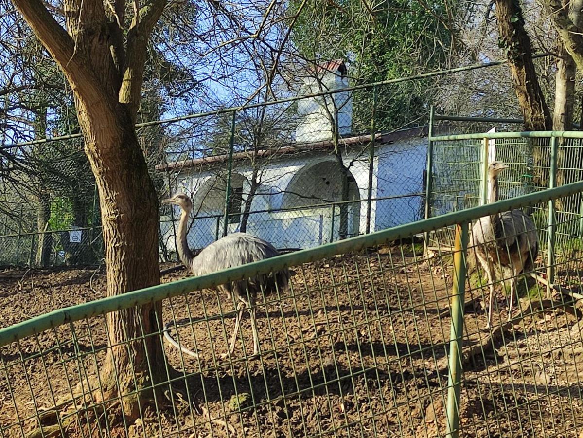 Polonezkoey Country Club & Accommodation In The Wildlife Park! Provincia di Provincia di Istanbul Esterno foto