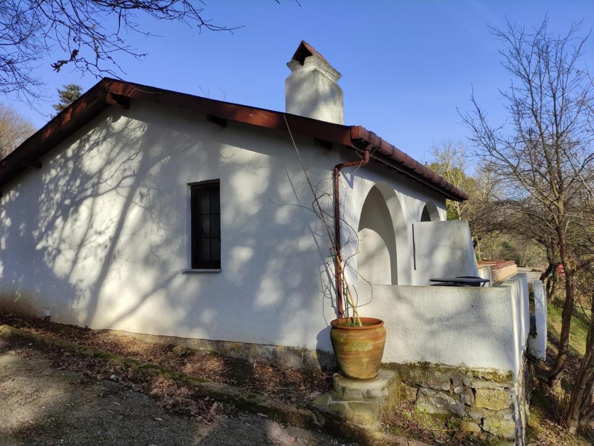 Polonezkoey Country Club & Accommodation In The Wildlife Park! Provincia di Provincia di Istanbul Esterno foto