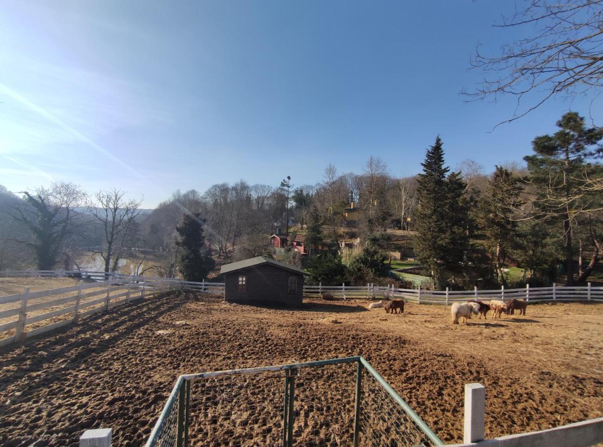 Polonezkoey Country Club & Accommodation In The Wildlife Park! Provincia di Provincia di Istanbul Esterno foto