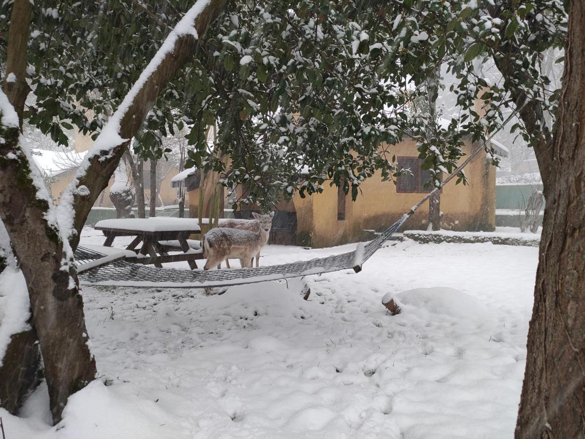 Polonezkoey Country Club & Accommodation In The Wildlife Park! Provincia di Provincia di Istanbul Esterno foto