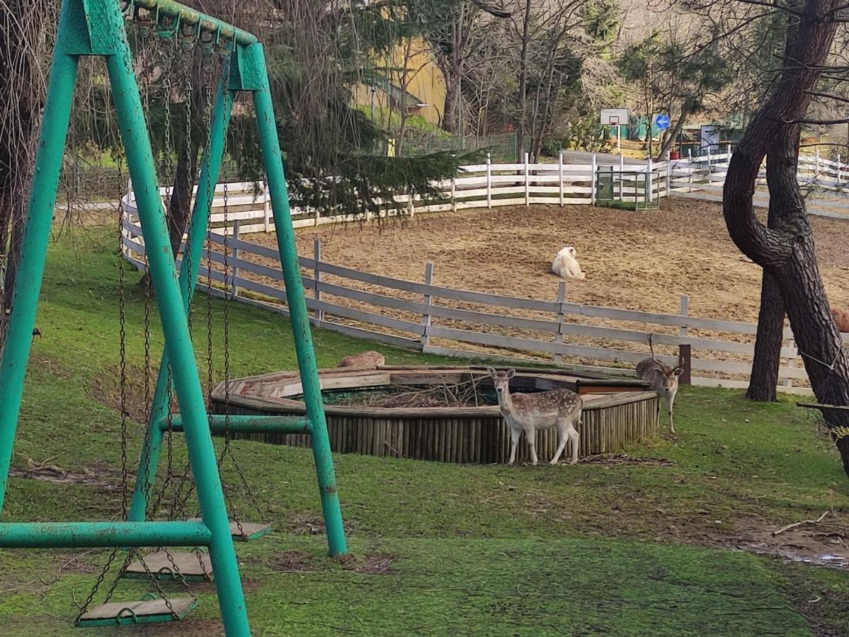 Polonezkoey Country Club & Accommodation In The Wildlife Park! Provincia di Provincia di Istanbul Esterno foto
