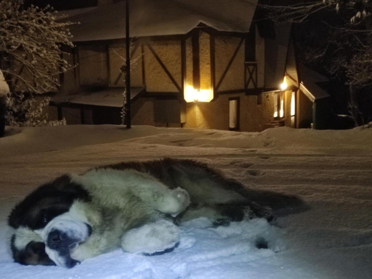 Polonezkoey Country Club & Accommodation In The Wildlife Park! Provincia di Provincia di Istanbul Esterno foto