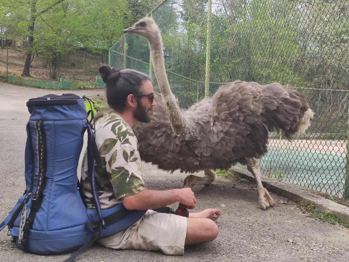 Polonezkoey Country Club & Accommodation In The Wildlife Park! Provincia di Provincia di Istanbul Esterno foto