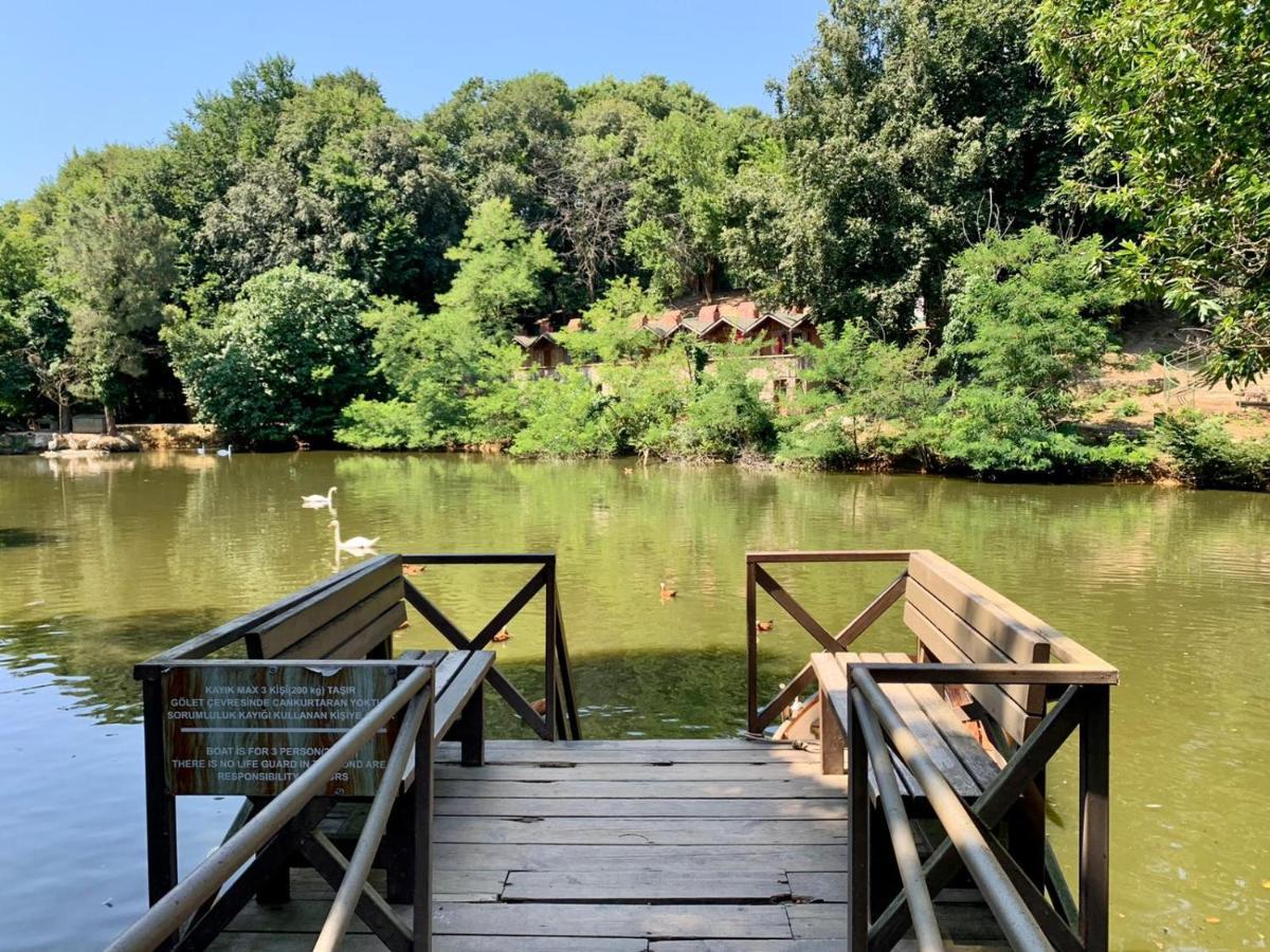 Polonezkoey Country Club & Accommodation In The Wildlife Park! Provincia di Provincia di Istanbul Esterno foto