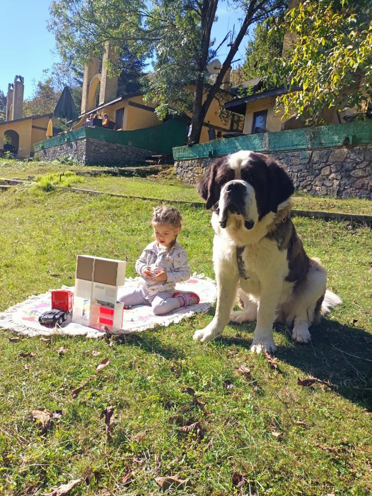 Polonezkoey Country Club & Accommodation In The Wildlife Park! Provincia di Provincia di Istanbul Esterno foto