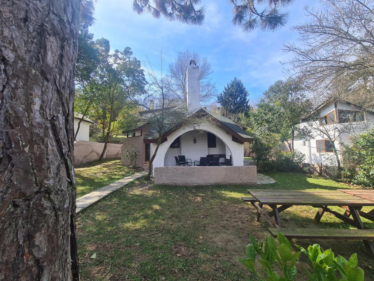Polonezkoey Country Club & Accommodation In The Wildlife Park! Provincia di Provincia di Istanbul Esterno foto