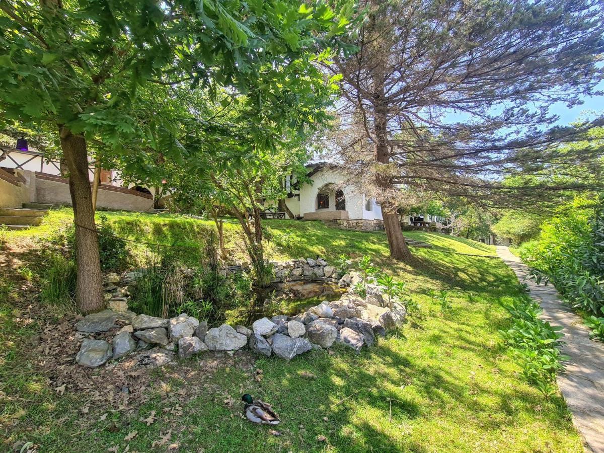 Polonezkoey Country Club & Accommodation In The Wildlife Park! Provincia di Provincia di Istanbul Esterno foto