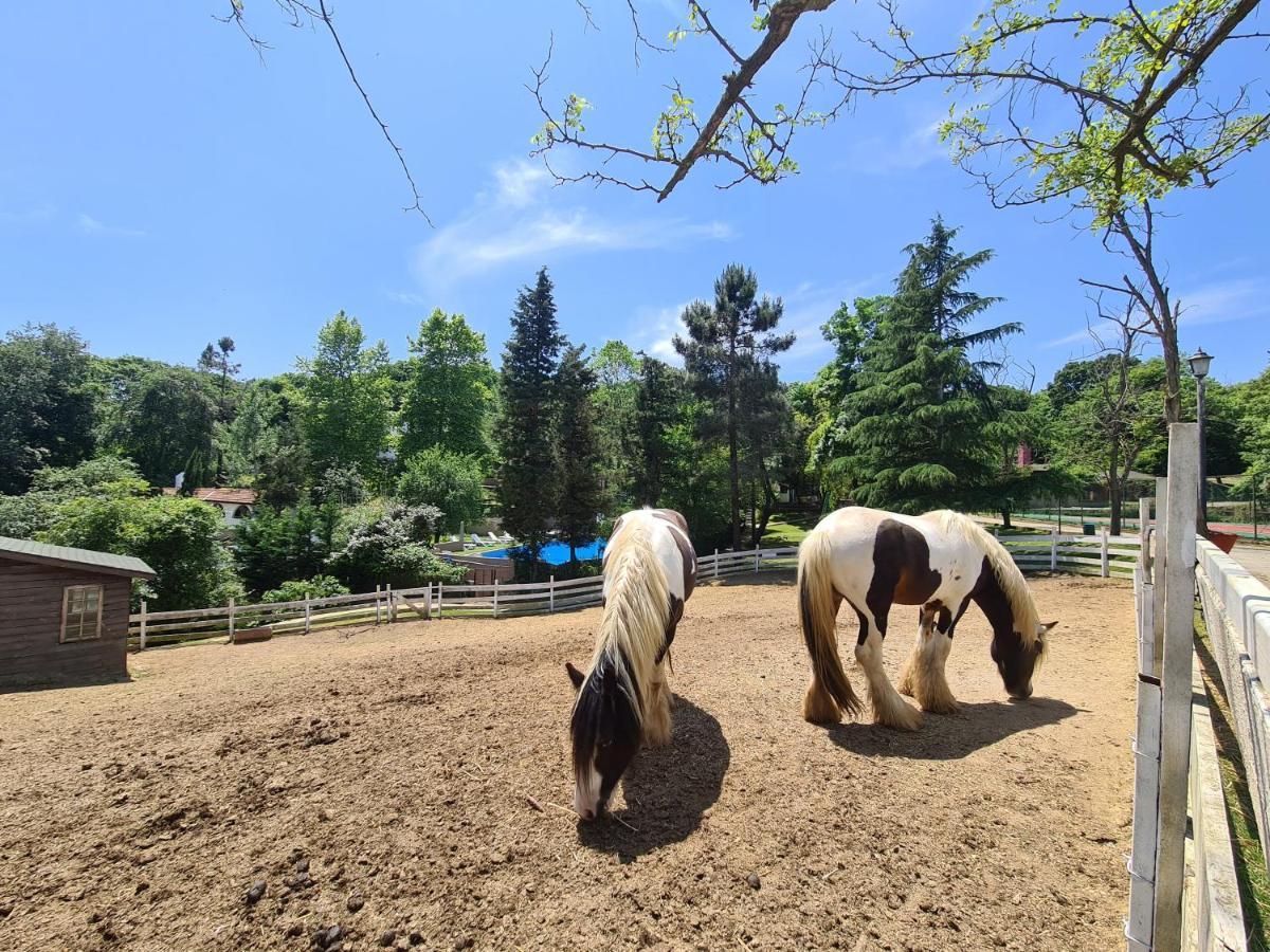 Polonezkoey Country Club & Accommodation In The Wildlife Park! Provincia di Provincia di Istanbul Esterno foto
