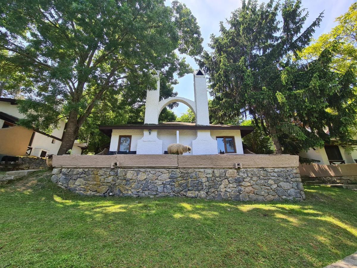 Polonezkoey Country Club & Accommodation In The Wildlife Park! Provincia di Provincia di Istanbul Esterno foto