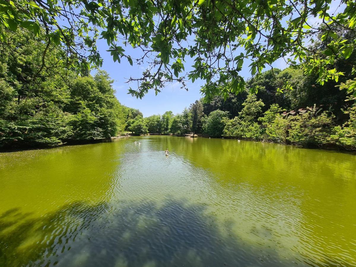 Polonezkoey Country Club & Accommodation In The Wildlife Park! Provincia di Provincia di Istanbul Esterno foto