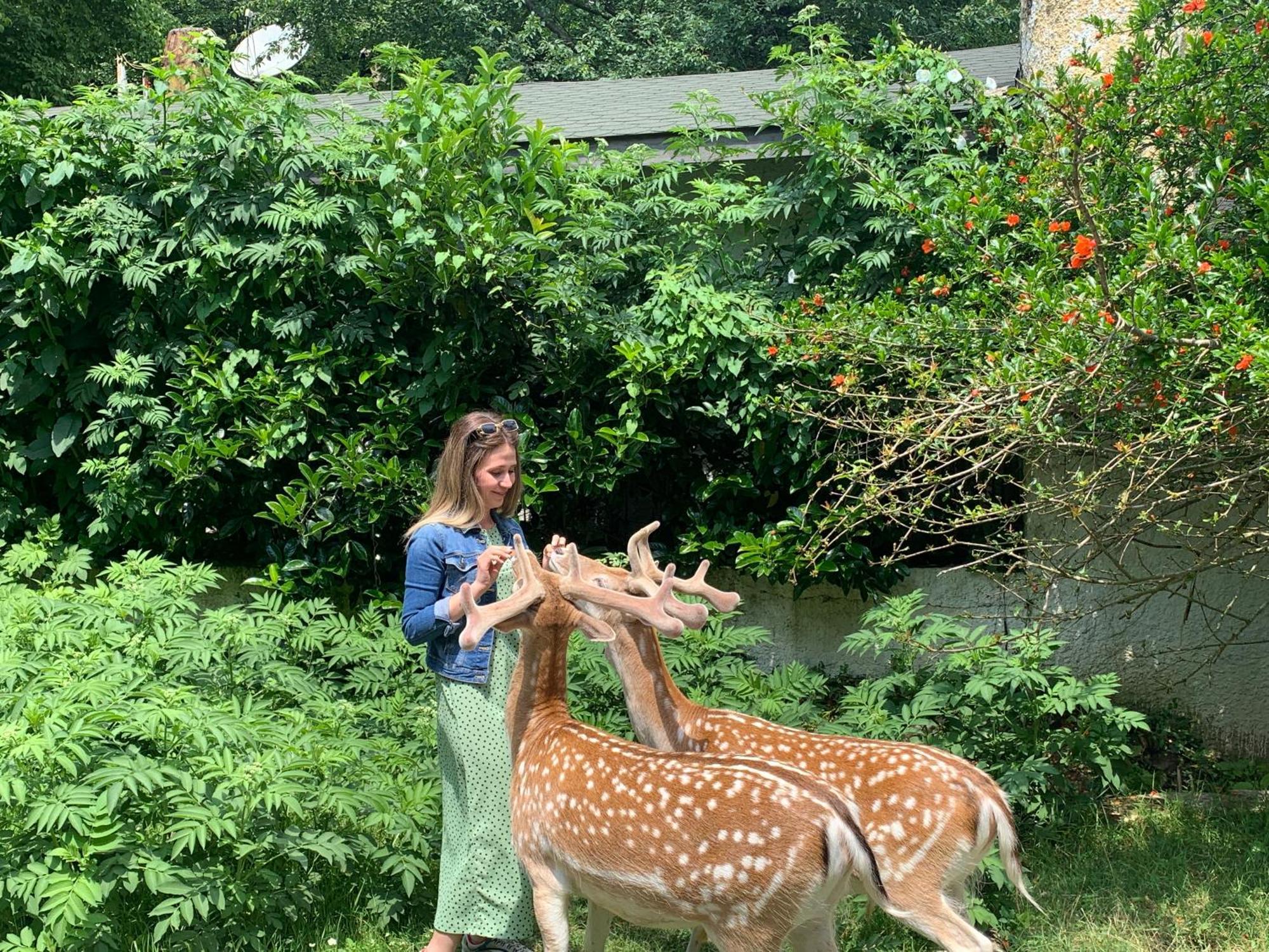 Polonezkoey Country Club & Accommodation In The Wildlife Park! Provincia di Provincia di Istanbul Esterno foto