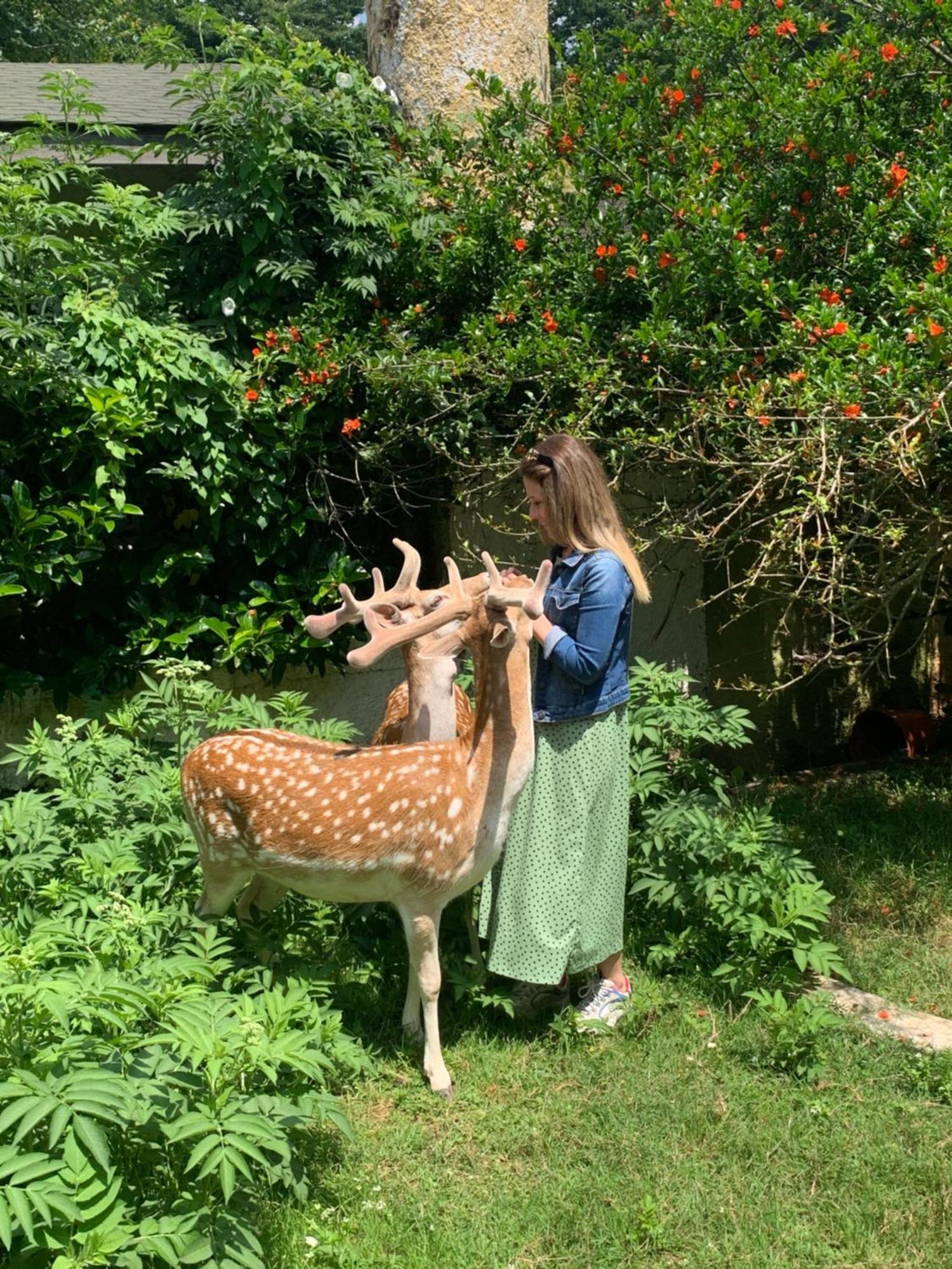 Polonezkoey Country Club & Accommodation In The Wildlife Park! Provincia di Provincia di Istanbul Esterno foto