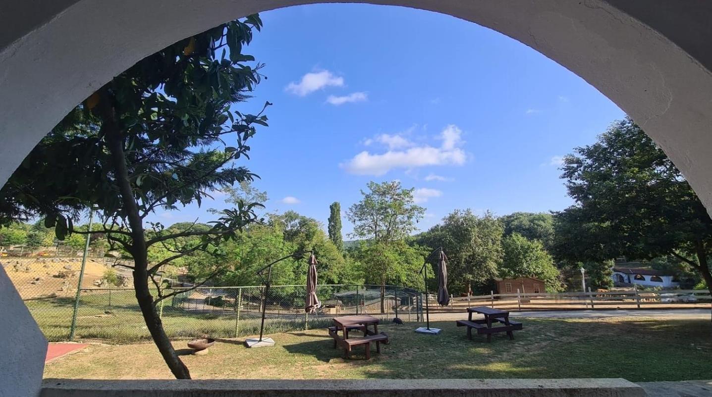 Polonezkoey Country Club & Accommodation In The Wildlife Park! Provincia di Provincia di Istanbul Esterno foto