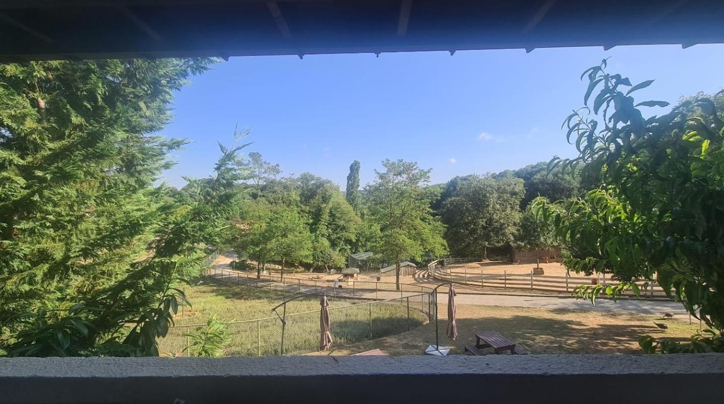 Polonezkoey Country Club & Accommodation In The Wildlife Park! Provincia di Provincia di Istanbul Esterno foto
