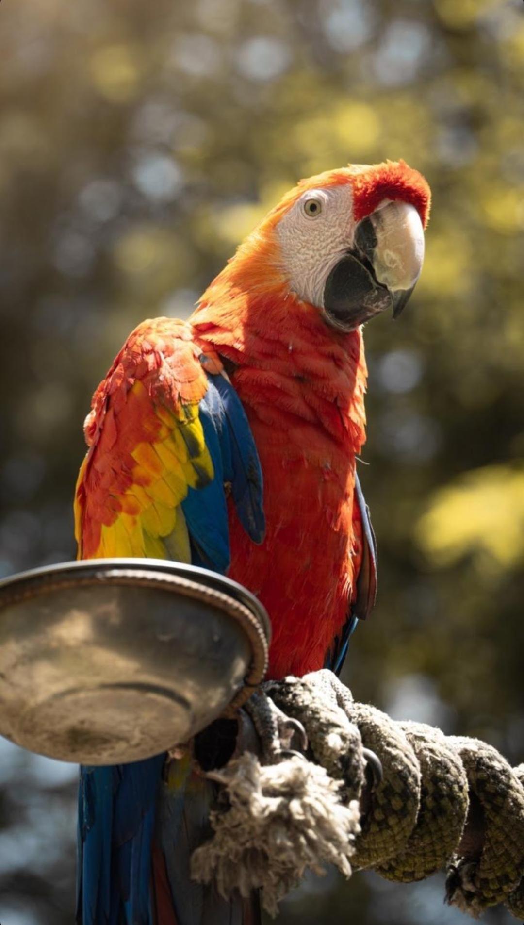 Polonezkoey Country Club & Accommodation In The Wildlife Park! Provincia di Provincia di Istanbul Esterno foto
